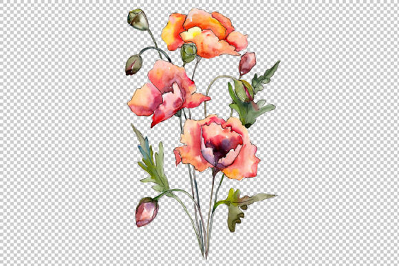 Download Bouquet of Red Poppies Watercolor Set - Red poppies watercolor Collection