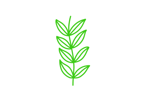 Download Floral Clipart - Premium Resources