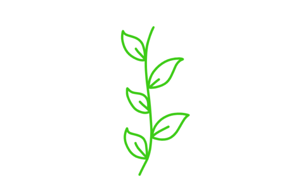 Download Floral Clipart - Premium Resources