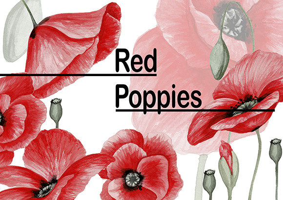 Download Red Poppies Watercolor Collection - Red poppies watercolor Collection